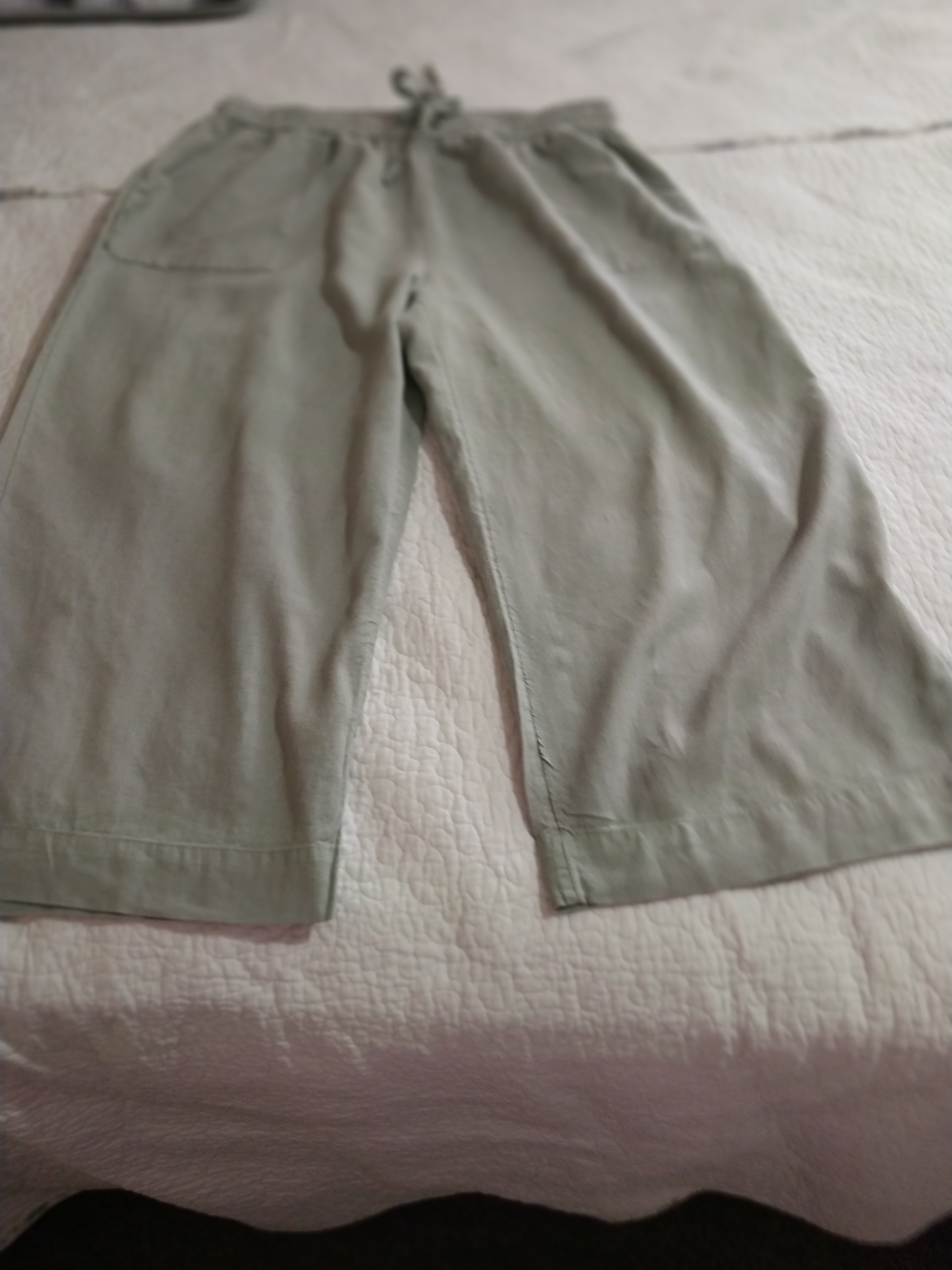 Cinthia Rowley Linen Relaxed Straight-Leg Drawstring Pants in Sage Green 1x - Picture 6 of 11